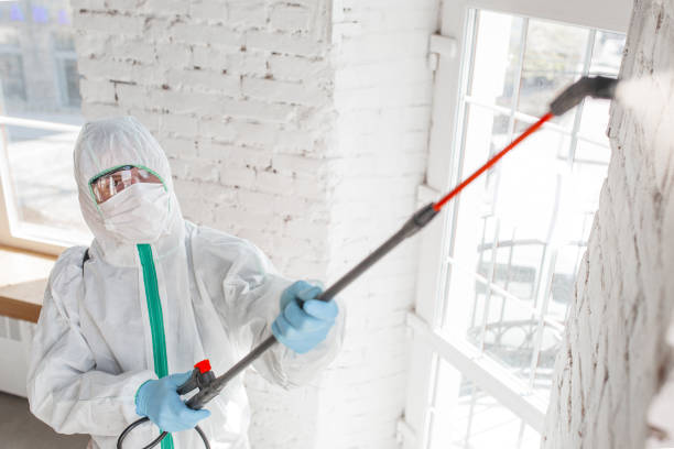 Best Crawl Space Mold Remediation  in Ko Olina, HI