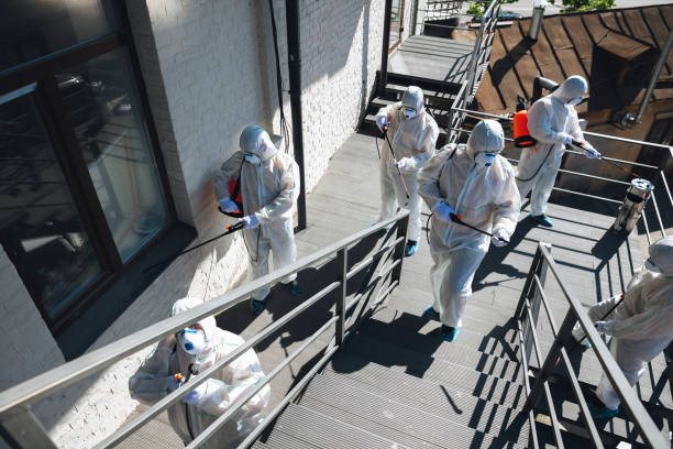 Best Water Damage & Mold Remediation  in Ko Olina, HI