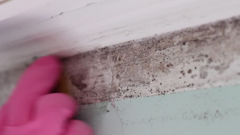 Best Forensic Mold Investigation  in Ko Olina, HI
